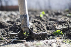 How Redoing Your Garden Can Be a Perfect Complement to Your Remodel
