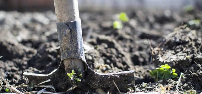 How Redoing Your Garden Can Be a Perfect Complement to Your Remodel