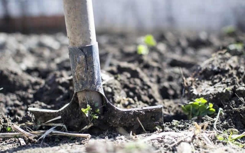 How Redoing Your Garden Can Be a Perfect Complement to Your Remodel