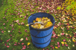 Last Minute Renovating: 4 Tips for Carrying Out a Landscaping Project Before Winter