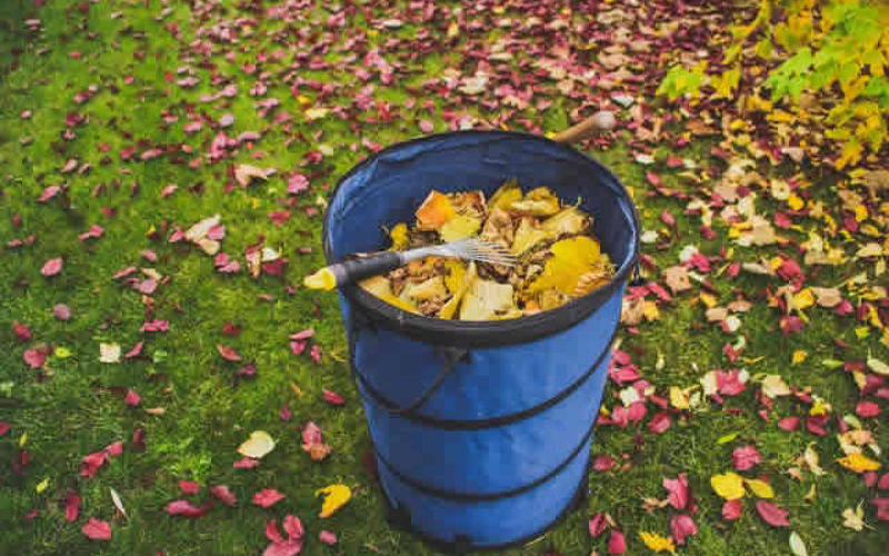 Last Minute Renovating: 4 Tips for Carrying Out a Landscaping Project Before Winter