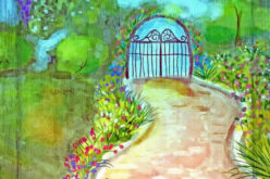 Embracing Natural Beauty: How to Build a Backyard Oasis