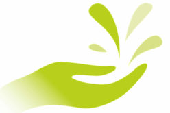 Planning to Get Your Own Water Well? 4 Things to Examine First