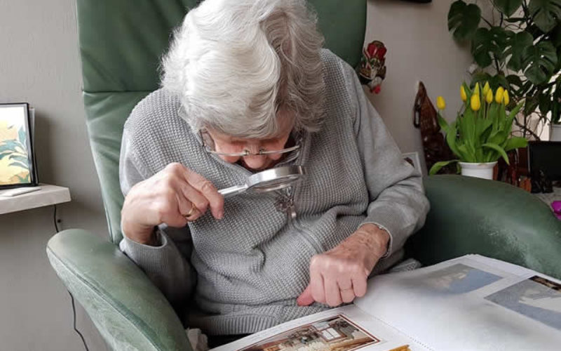 What Are The Types Of Granny Flats That Modern Homeowners Choose?