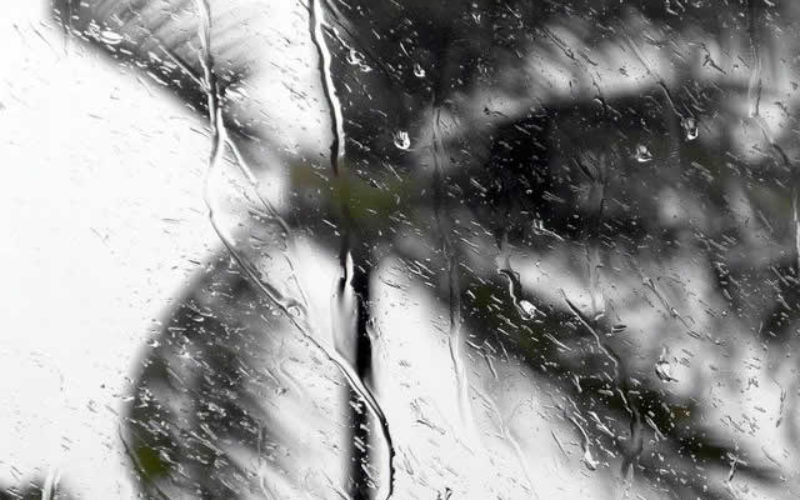 The Ultimate Guide to Choose Hurricane Proof Glass: Making the Right Choice