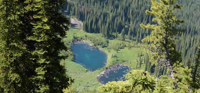 Why Idaho Is A Great Place To Be?