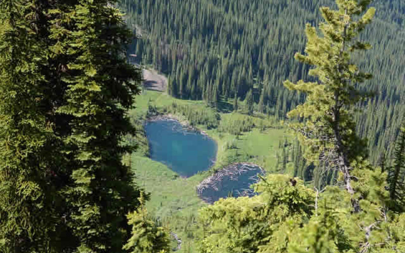 Why Idaho Is A Great Place To Be?