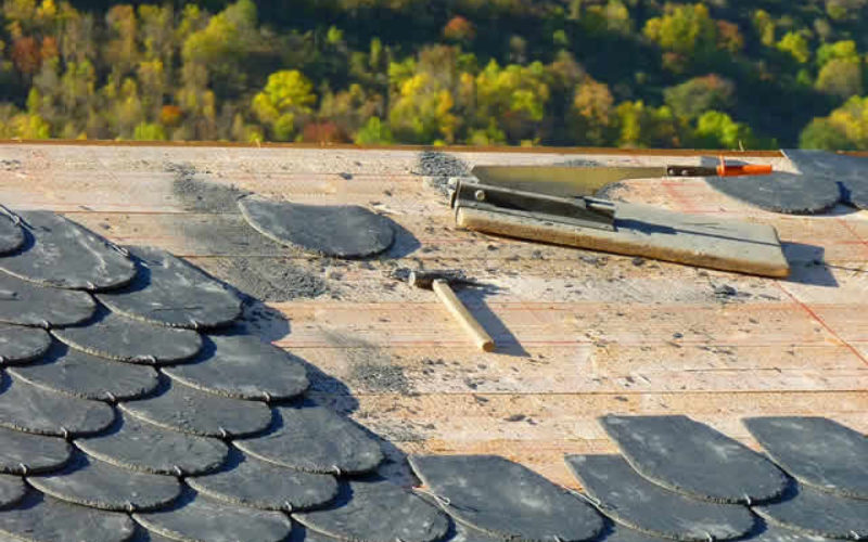4 Criteria for Choosing a New Roof That Will Stand Up to the Elements