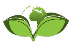 Top 7 Guide to Build Your High Sustainable Eco-Friendly Building