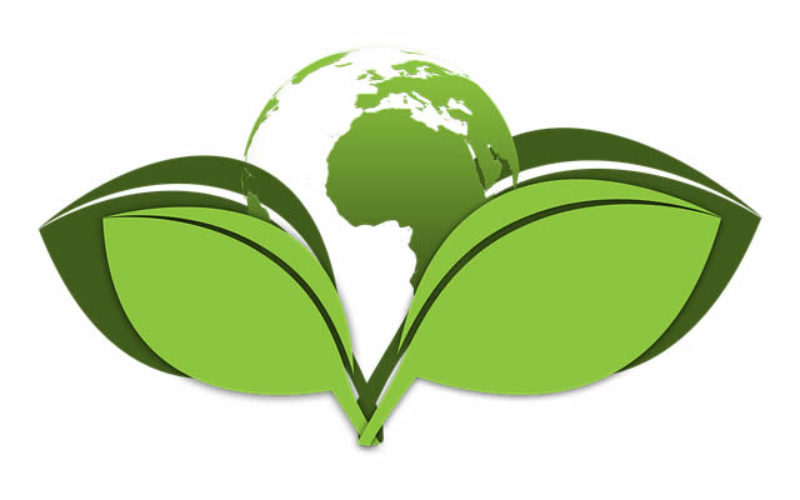 Top 7 Guide to Build Your High Sustainable Eco-Friendly Building