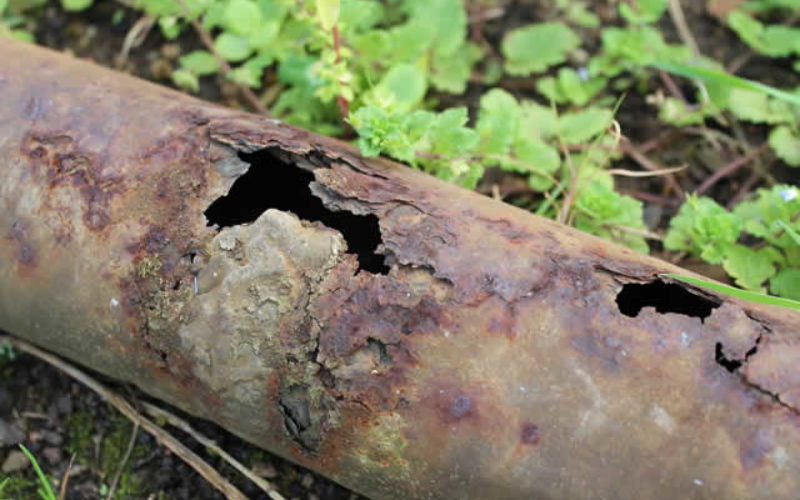 Do Your Sewer Lines Need Repairs? How to Check