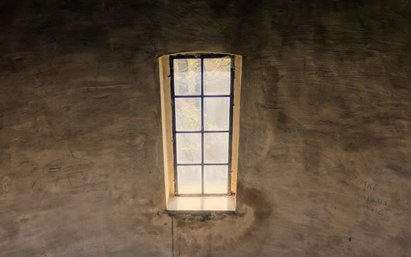 What Windows Should You Choose When Renovating Your Home