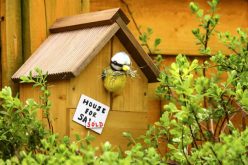 Real Estate Spring Home Improvement Guide