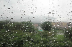 Solutions For Damp Issues With Local And Professional Services