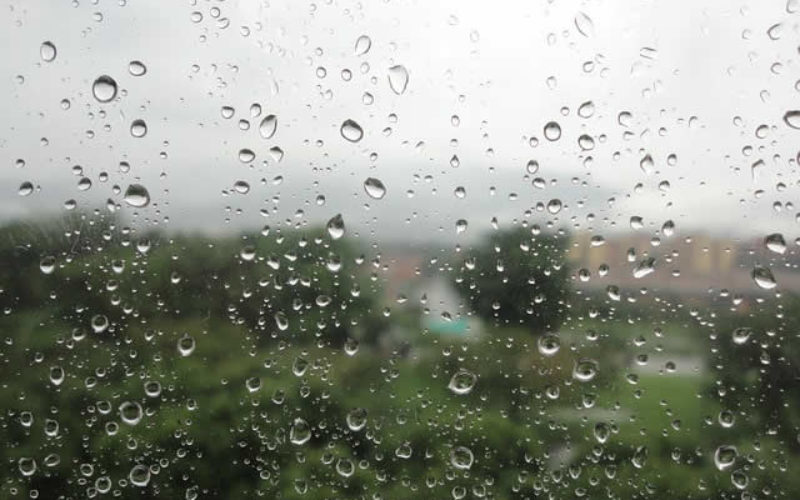 Solutions For Damp Issues With Local And Professional Services