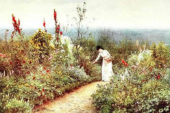 Landscape Services in Long Island