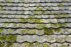 4 Signs That Your Roof Desperately Needs Replacement