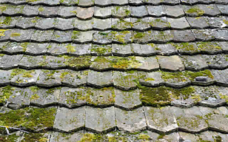 4 Signs That Your Roof Desperately Needs Replacement