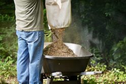 4 Outdoor Spring Cleaning Chores You Shouldn’t Ever Skip
