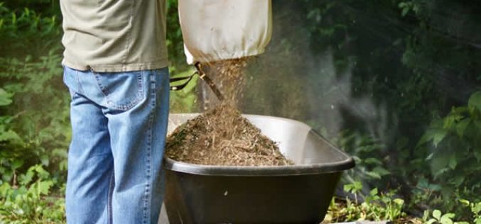 4 Outdoor Spring Cleaning Chores You Shouldn’t Ever Skip