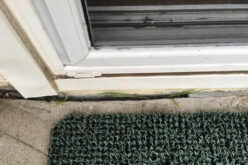 How to Recognize the Structural Damage in Your Basement Foundation