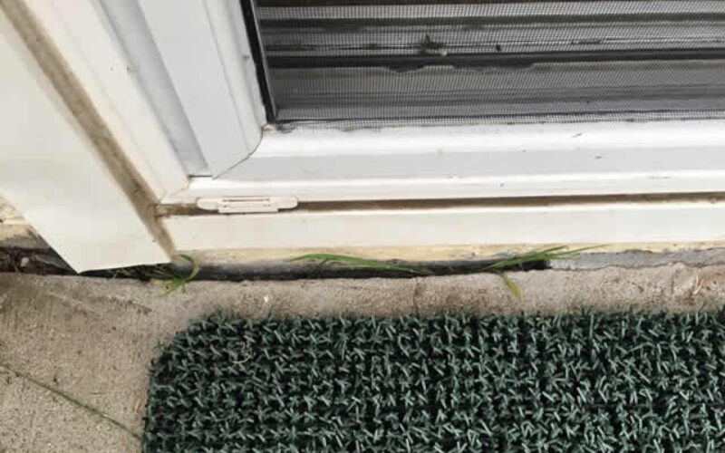 How to Recognize the Structural Damage in Your Basement Foundation