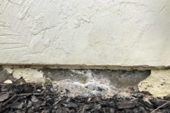 How to Find the Best Structural Repair Company