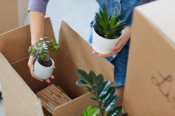 <span>Sunday Morning Tip for July 19:</span> What You Should Get Rid of While Downsizing