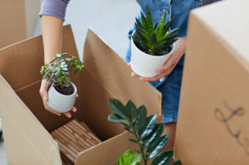 <span>Sunday Morning Tip for July 19:</span> What You Should Get Rid of While Downsizing