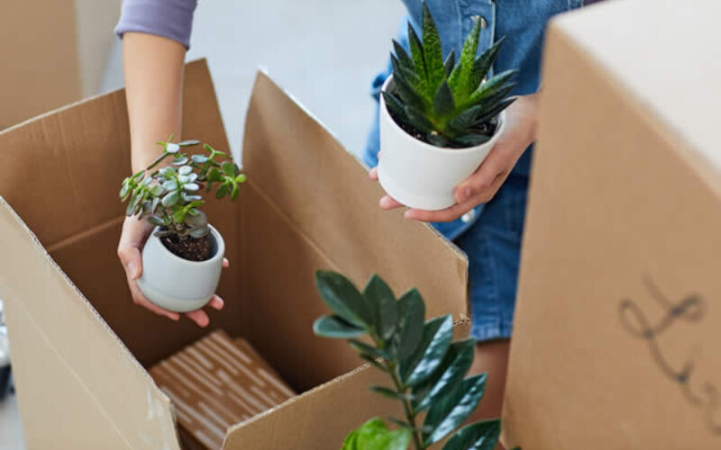 <span>Sunday Morning Tip for July 19:</span> What You Should Get Rid of While Downsizing