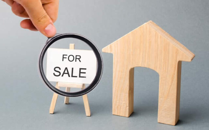 Things To Look for When You Begin Your House Hunt
