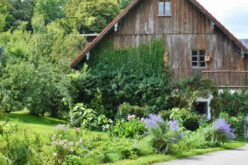 4 Tips for Renovating Your Home Without Ruining Your Landscaping