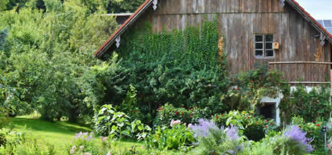 4 Tips for Renovating Your Home Without Ruining Your Landscaping