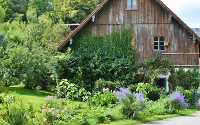 4 Tips for Renovating Your Home Without Ruining Your Landscaping