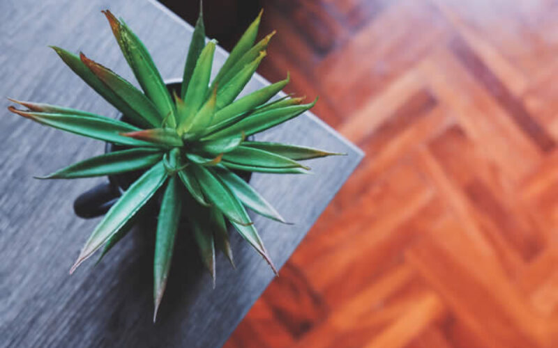 10 Must-Know Decorating Tips and Tricks for Your Home