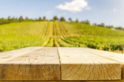 All Hands on Deck! Deck Staining Tips for Homeowners