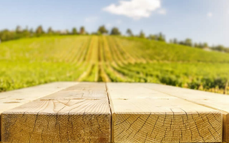 All Hands on Deck! Deck Staining Tips for Homeowners