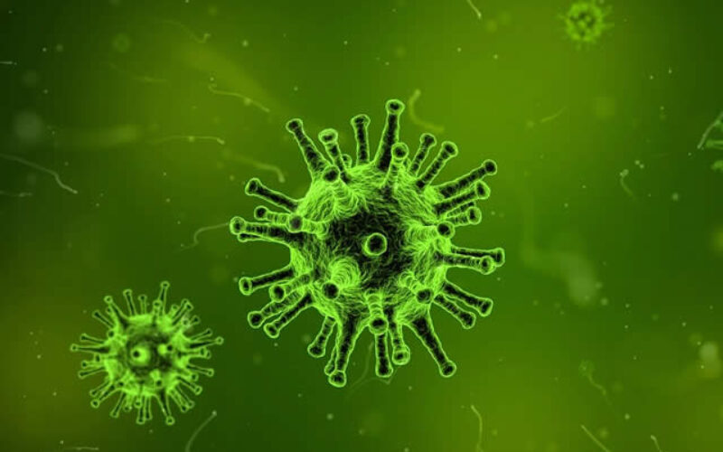 How to Tell the Difference Between the Flu and COVID-19