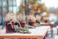 Tips to Prepare Your Patio for Winter