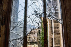 From Disrepair to Dream Home: How to Renovate an Abandoned Property