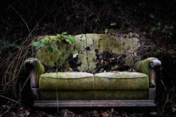 Easy Ways To Enhance the Look of An Old Sofa