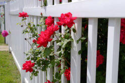 Finding the Right Security Fence for Your Property