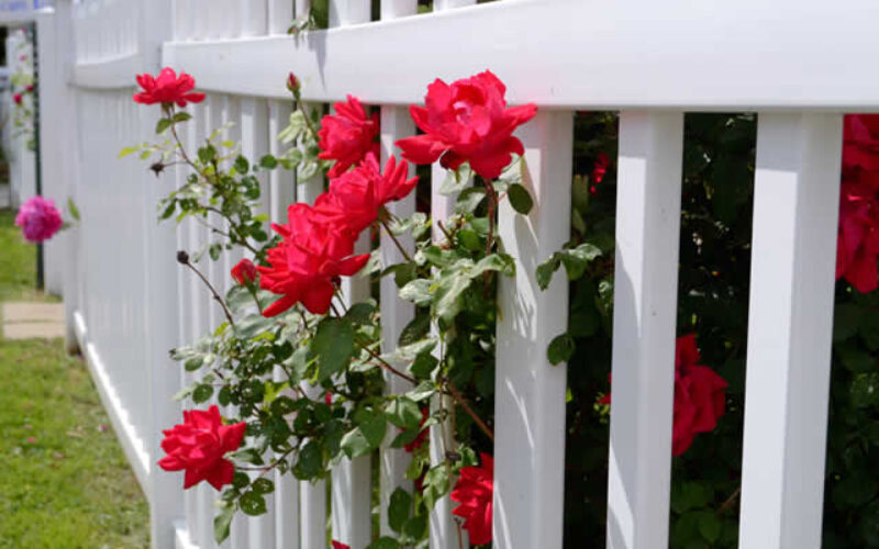 Finding the Right Security Fence for Your Property