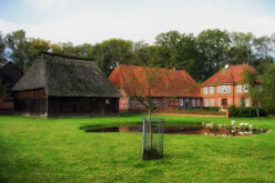 5 Tips for Maintaining Large Plots of Land