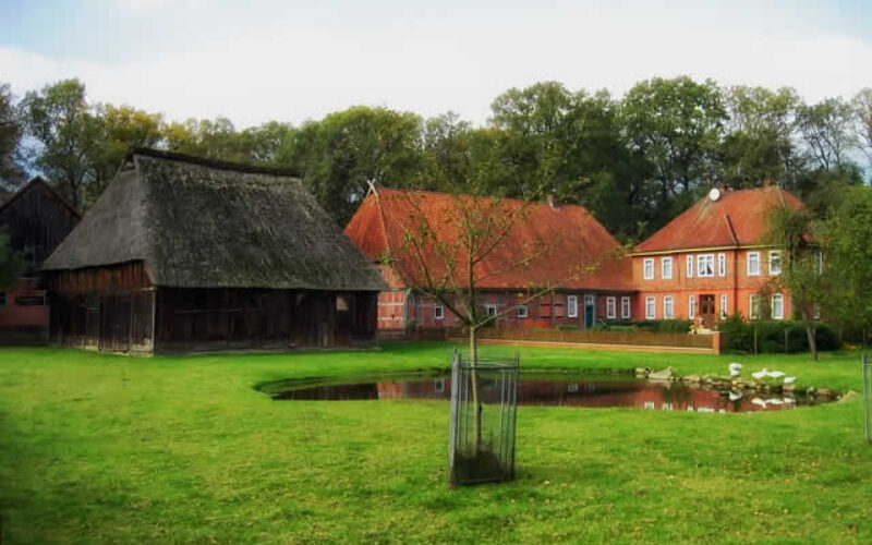 5 Tips for Maintaining Large Plots of Land