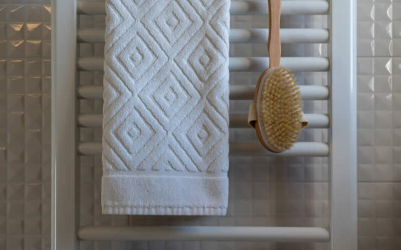 Effective Ways to Organize Everything in a Shower