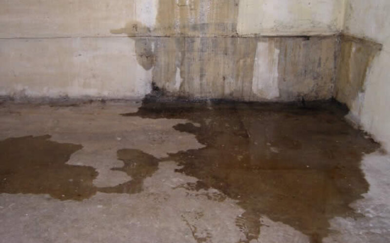 Why Having a Waterproofed Basement is So Important