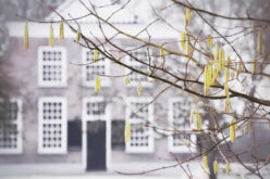 How to Repair and Deal with Broken Doors and Windows in the Winter