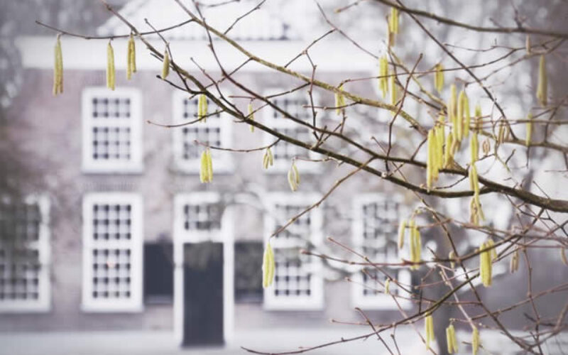 How to Repair and Deal with Broken Doors and Windows in the Winter