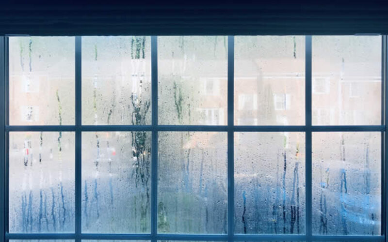 Home Maintenance to Consider When You Live in a Humid Climate